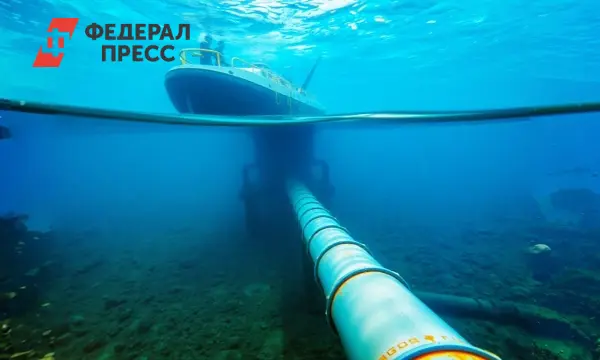 Польша не собирается выдавать Германии украинца, интрига вокруг Северных потоков-0