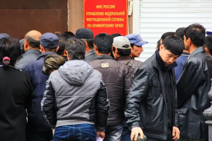 primorskij kraj planiruet rasshirit spisok zapretov dlya migrantov na rynke truda-lessontime-ru-0