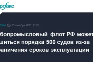 Росрыболовство и ОСК обновляют флот без возрастных ограничений rosrybolovstvo i osk obnovlyayut flot bez vozrastnyh ogranichenij-lessontime-ru-0