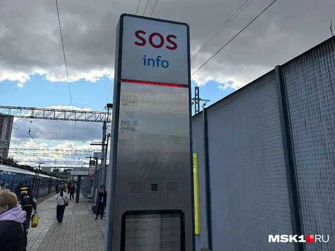 Суд запретил пять Telegram-каналов про зацепинг | Источник: Андрей Кузнецов / MSK1.RU