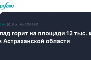 Сотрудники МЧС РФ локализуют крупный пожар на складе в Астраханской области sotrudniki mchs rf lokalizuyut krupnyj pozhar na sklade v astrahanskoj oblasti-lessontime-ru-0
