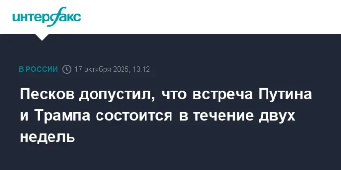vladimir putin i donald tramp mogut provesti peregovory uzhe skoro-lessontime-ru-0