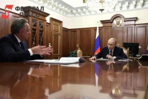 Владимир Путин поддержал стратегию развития ДОМ.РФ и одобрил IPO компании vladimir putin podderzhal strategiyu razvitiya domrf i odobril kompanii-lessontime-ru-0