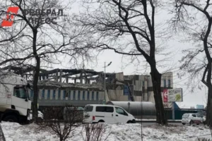 Во Владивостоке на месте ТЦ «Максим» появится новый городской центр vo vladivostoke na meste tcz maksim poyavitsya novyj gorodskoj czentr-lessontime-ru-0