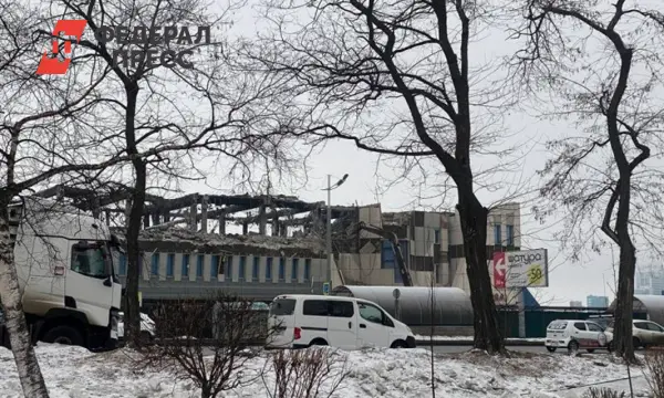 Во Владивостоке на месте ТЦ «Максим» появится новый городской центр-0