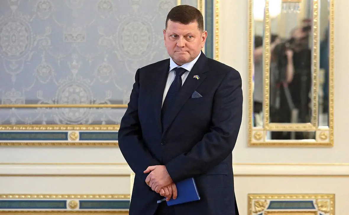 Валерий Залужный (Тарасов / Keystone Press Agency / Global Look Press)