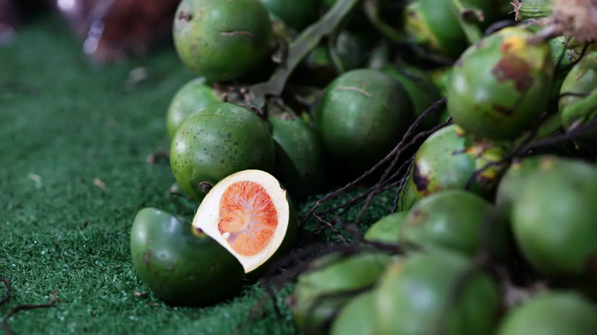 Бетельный орех: что это такое и чем он опасен