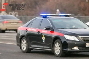 В Рязани возбуждено уголовное дело о коммерческом подкупе замглавного инженера v ryazani vozbuzhdeno ugolovnoe delo o kommercheskom podkupe zamglavnogo inzhenera-lessontime-ru-0