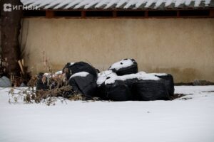 Сергей Майзель под прицелом экоконтроля: шаг к реформам rosprirodnadzor_lessontime