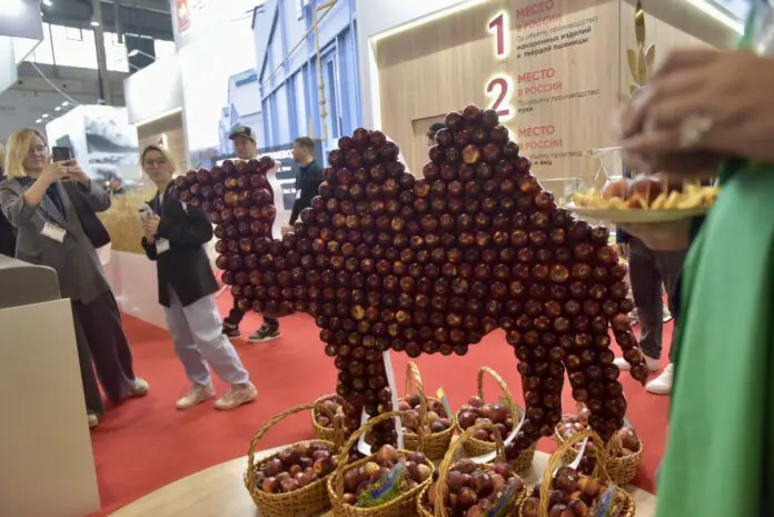 Екатеринбург-Экспо объединил лидеров ритейла Ашан, Пятёрочку и Chef’s Choice-0