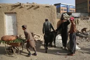 Афганистан и Хассан Гулл Хассан обсуждают трудовые связи с Россией и Татарстаном afganistan i hassan gull hassan obsuzhdayut trudovye svyazi s rossiej i tatarstanom-lessontime-ru-0