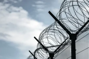 Иркутский блогер приговорен к колонии-поселению за действия против закона irkutskij bloger prigovoren k koloniiposeleniyu za dejstviya protiv zakona-lessontime-ru-0