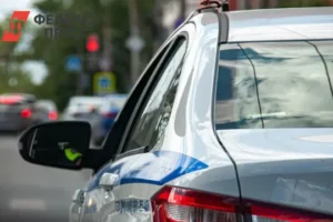 МВД в Санкт-Петербурге успешно остановило деятельность бота с персональными данными mvd v sanktpeterburge uspeshno ostanovilo deyatelnost bota s personalnymi dannymi-lessontime-ru-0