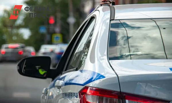 МВД в Санкт-Петербурге успешно остановило деятельность бота с персональными данными-0