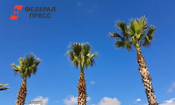 Наталья Косьмина отмечает теплый ноябрь и продленное купание в Сочи-0