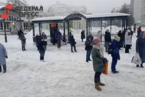 Администрация Нижневартовска объявила новые планы по борьбе со снегом administracziya nizhnevartovska obyavila novye plany po borbe so snegom-lessontime-ru-0