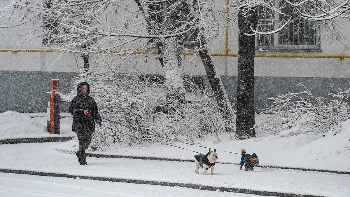 Эксперт Ледашева рассказала, какая будет погода в новогоднюю ночь в России