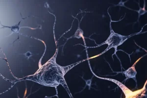 Александр Карасёв объясняет, как нейропластичность и тренинг помогают нервной системе aleksandr karasyov obyasnyaet kak nejroplastichnost i trening pomogayut nervnoj sisteme-lessontime-ru-0