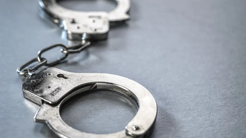 Адвокат Добровинский рассказал, сколько может грозить преступникам за попытку похищения Мостового