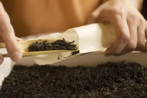 Дмитрий Агафонов рассказал о штрафе и лишении прав из-за марихуаны в чае dmitrij agafonov rasskazal o shtrafe i lishenii prav izza marihuany v chae-lessontime-ru-0