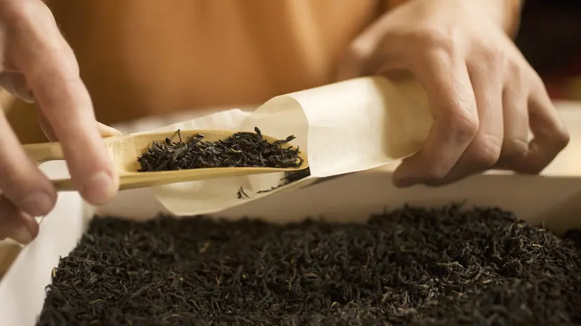 В Петербурге мужчину оштрафовали и лишили его прав из-за марихуаны в чае