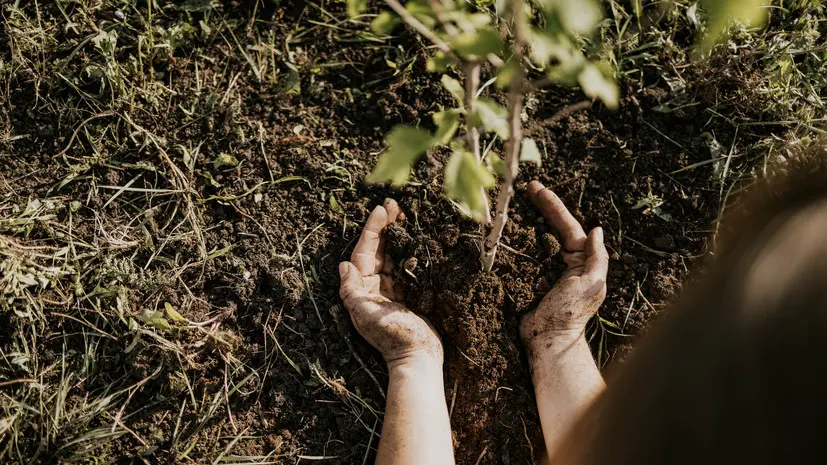 Координатор «Волонтёров Подмосковья» Фёдорова рассказала о работе движения