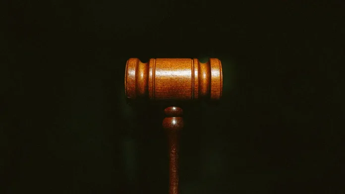 pravosudie v dele iriny rudniczkoj i ee rodstvennikov zashhishhaet detej-lessontime-ru-0