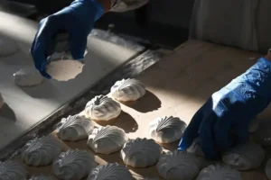 Ирина Писарева рассказывает о контроле пищевых добавок и зефире без риска irina pisareva rasskazyvaet o kontrole pishhevyh dobavok i zefire bez riska-lessontime-ru-0