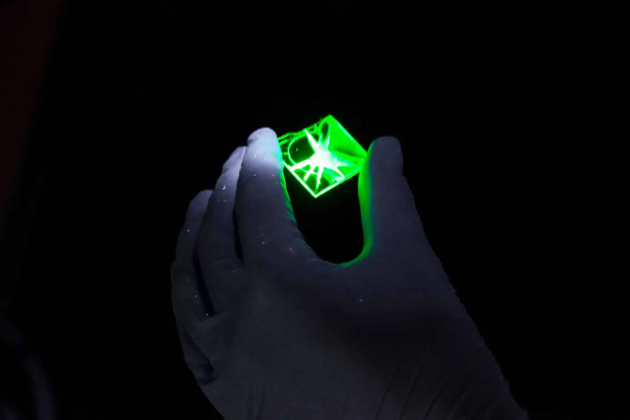 Ученые России открыли долговечные перовскитные точки во фторопласте-0