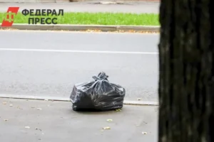 Любава Трофимова рассказала о штрафах за мусор по КоАП РФ lyubava trofimova rasskazala o shtrafah za musor po koap rf-lessontime-ru-0