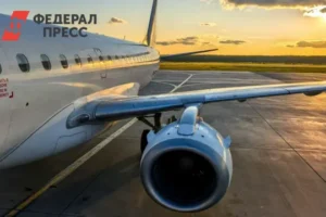 Николай Ноздрев и Japan Airlines с ANA обсуждают перспективы перелетов между Россией и Японией nikolaj nozdrev i s obsuzhdayut perspektivy pereletov mezhdu rossiej i yaponiej-lessontime-ru-0