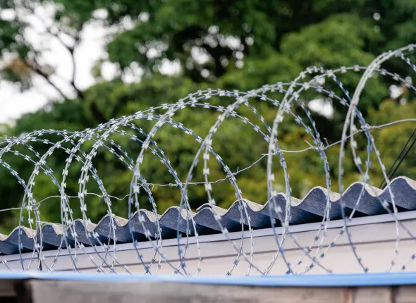 Фото: primamedia.ru