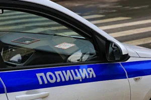 Прокуратура и Следственный комитет расследуют дело ребенка и отчима у Гольяновского пруда prokuratura i sledstvennyj komitet rassleduyut delo rebenka i otchima u golyanovskogo pruda-lessontime-ru-0