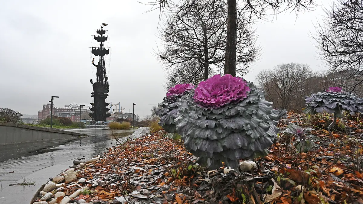 Погода в Москве на следующую неделю, с 24 по 30 ноября