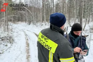 СК РФ надеется найти семью Усольцевых в Красноярском крае sk rf nadeetsya najti semyu usolczevyh v krasnoyarskom krae-lessontime-ru-0