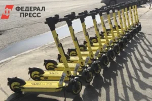 Следственный комитет и Андрей Альшевских за прогрессивное регулирование электросамокатов sledstvennyj komitet i andrej alshevskih za progressivnoe regulirovanie elektrosamokatov-lessontime-ru-0