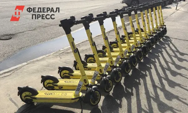 Следственный комитет и Андрей Альшевских за прогрессивное регулирование электросамокатов-0