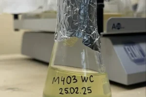 Учёные Института Тимирязева РАН обнаружили Microcystis aeruginosa в Мещерском пруду uchyonye instituta timiryazeva ran obnaruzhili v meshherskom prudu-lessontime-ru-0