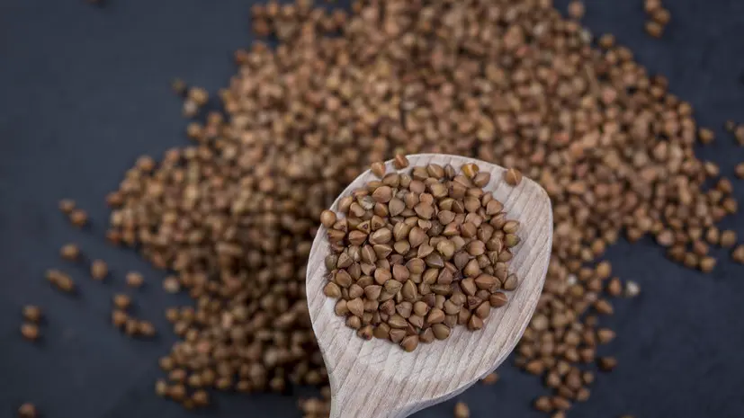 Уролог Малхасян: гречка может спровоцировать образование камней в почках