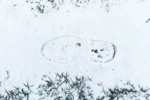 Анатолий Цыганков из Гидрометцентра рассказал о снегопадах в Москве и области anatolij czygankov iz gidrometczentra rasskazal o snegopadah v moskve i oblasti-lessontime-ru-0