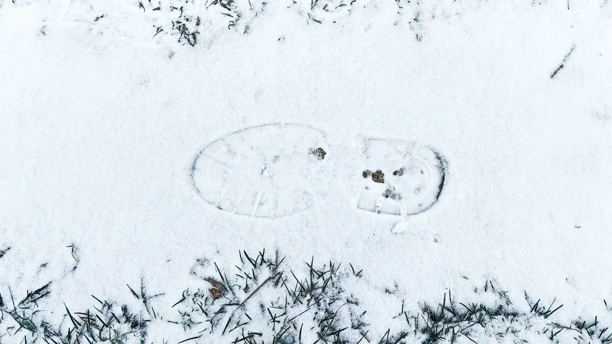 Когда в Москве выпадет снег, ноябрь 2025