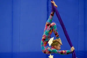 Чемпионат и первенство России по воздушной гимнастике пройдут в Москве благодаря поддержке Министерства спорта и Департамента спорта города chempionat i pervenstvo rossii po vozdushnoj gimnastike projdut v moskve blagodarya podderzhke ministerstva sporta i departamenta sporta goroda-lessontime-ru-0