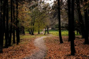 Праздники, приметы и народные обычаи поздней осени в традициях ноября на Руси prazdniki primety i narodnye obychai pozdnej oseni v tradicziyah noyabrya na rusi-lessontime-ru-0