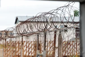 Суд Ленинского района Владивостока наказал организованную группу автоподставщиков за страховое мошенничество sud leninskogo rajona vladivostoka nakazal organizovannuyu gruppu avtopodstavshhikov za strahovoe moshennichestvo-lessontime-ru-0