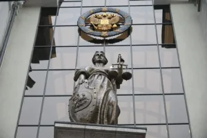 Мария Спиридонова обсудила перспективы дела Ларисы Долиной в Верховном суде mariya spiridonova obsudila perspektivy dela larisy dolinoj v verhovnom sude-lessontime-ru-0