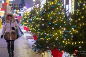 Администрация Казани опубликовала список мест для покупки елки к Новому году administracziya kazani opublikovala spisok mest dlya pokupki elki k novomu godu-lessontime-ru-0