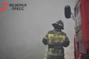 Андрей Прошунин сообщил о пожаре в Сочи и его оперативной ликвидации andrej proshunin soobshhil o pozhare v sochi i ego operativnoj likvidaczii-lessontime-ru-0