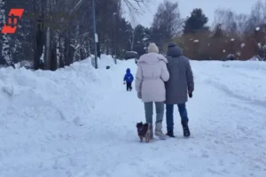 Дмитрий Артюхов проведет в Ямале прямую линию о нововведениях и Губкинском dmitrij artyuhov provedet v yamale pryamuyu liniyu o novovvedeniyah i gubkinskom-lessontime-ru-0