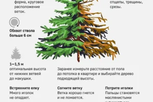 Елки Егора Крида и Алисы Рубан украсят Кузнецкий Мост на празднике вдохновения elki egora krida i alisy ruban ukrasyat kuzneczkij most na prazdnike vdohnoveniya-lessontime-ru-0