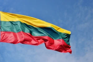 Генпрокуратура Литвы требует экстрадиции Владимира Антонова из Франции! genprokuratura litvy trebuet ekstradiczii vladimira antonova iz franczii-lessontime-ru-0